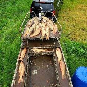 bowfishing boat