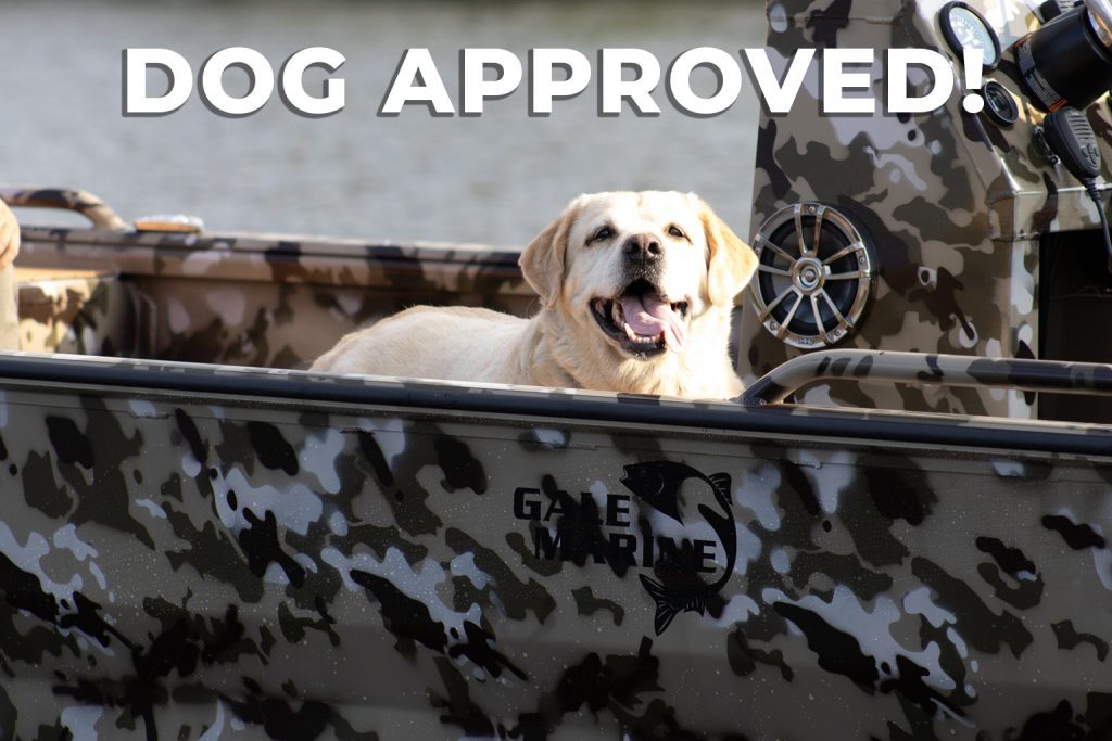 Dog approved Gale Marine Dog approved Gale Marine
