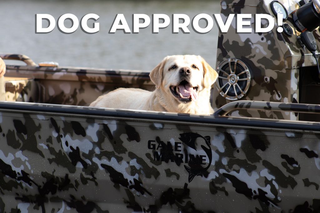 Dog approved Gale Marine